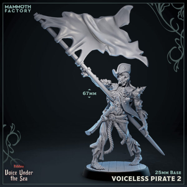 Voiceless Pirate #2