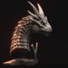 Draco Bust  - x1