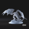 Old Dragon - x1