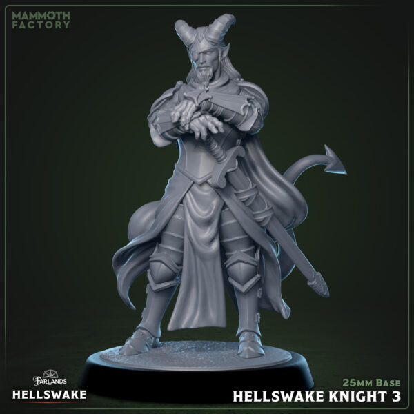 27cb080febe4885747a4e9829d1d4ad8.jpg Hellswake Knight #3