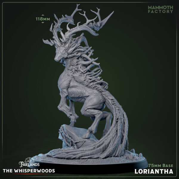 Loriantha